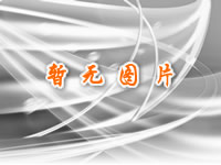 &#66;&#20307;&#32946;